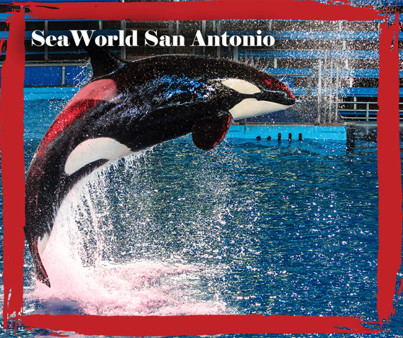 SA photos and borders5